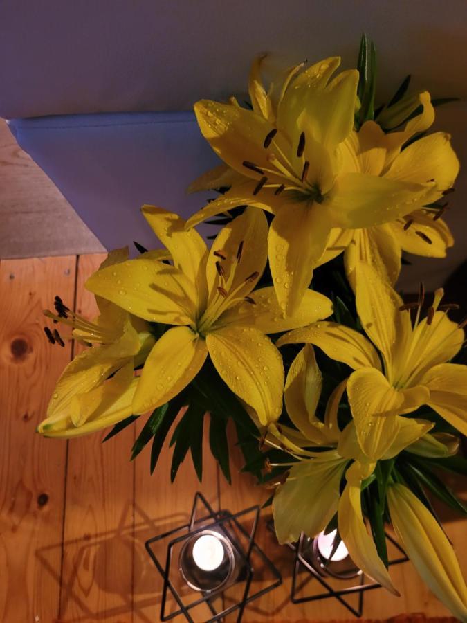 Apartament Lilla Jelení Hora Exteriér fotografie