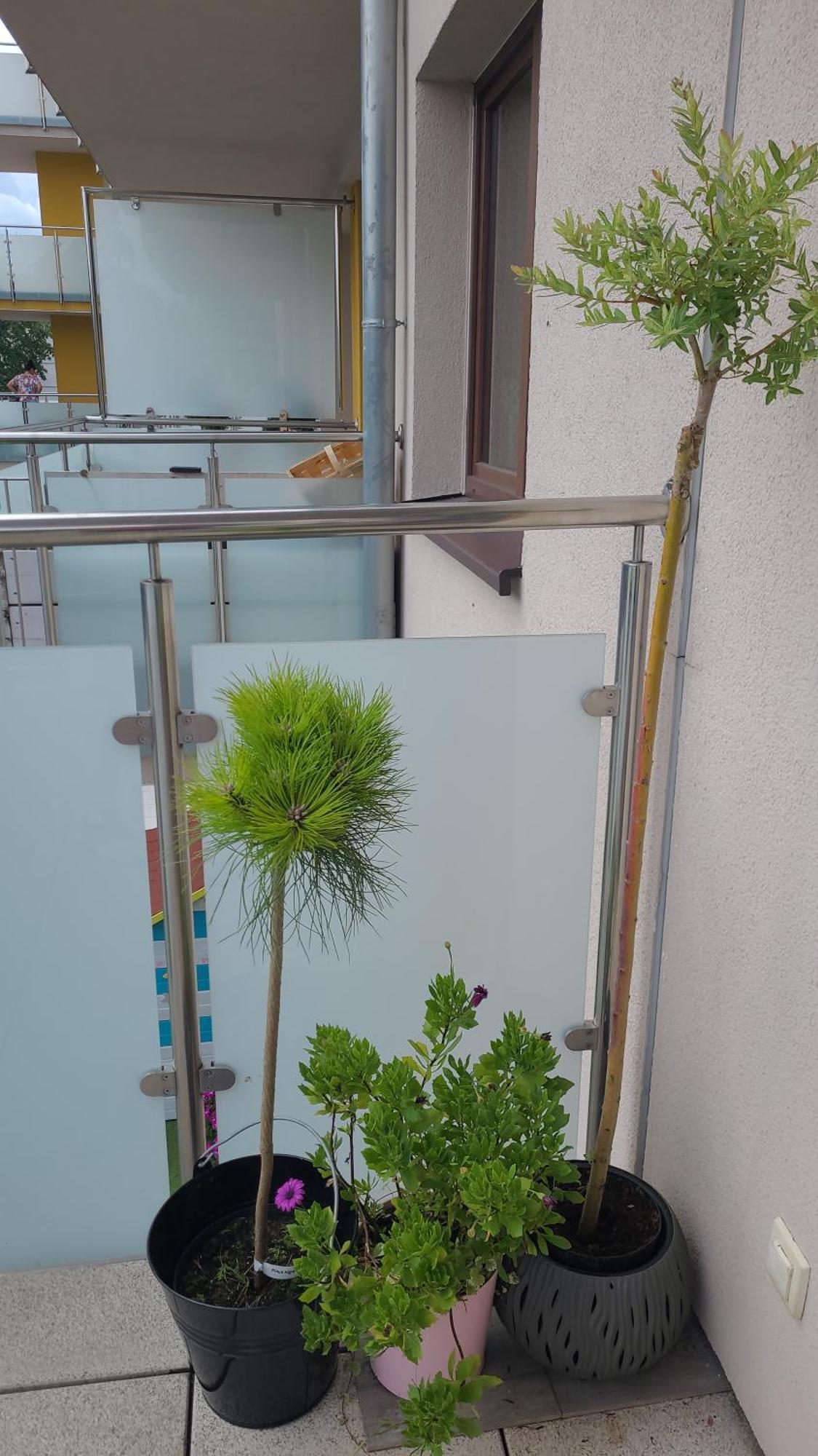 Apartament Lilla Jelení Hora Exteriér fotografie